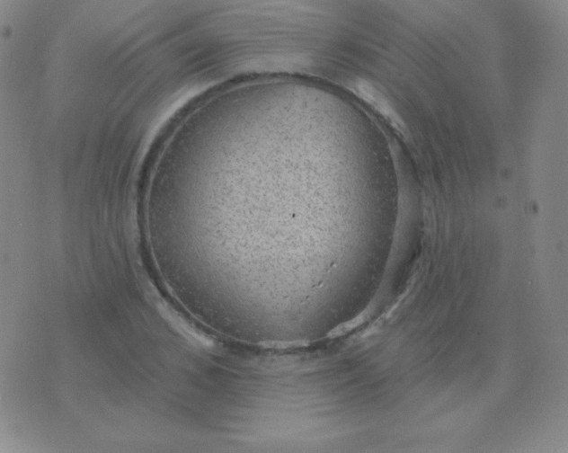 X0000076220976200610122046