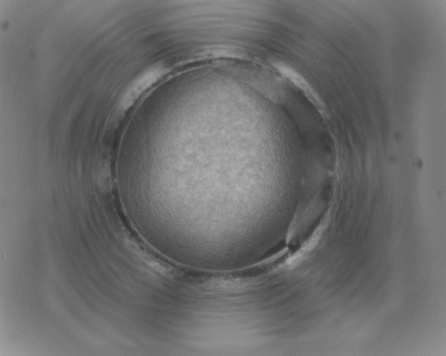 X0000076220977200610122046