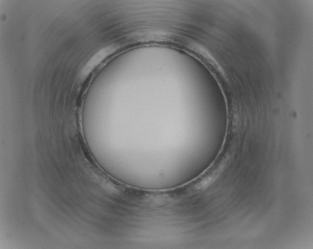 X0000076220978200610122045