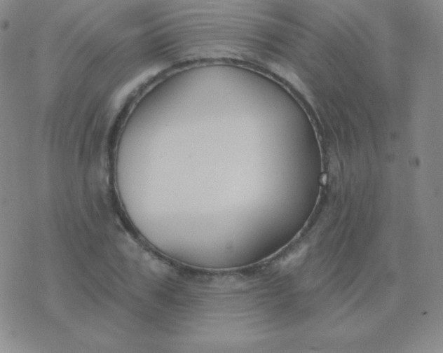 X0000076220979200610122045