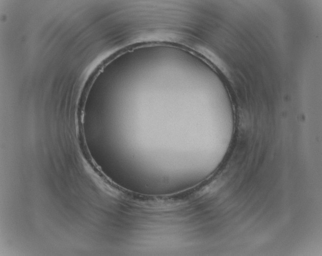 X0000076220980200610122045