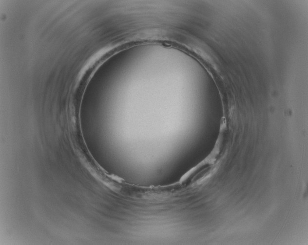 X0000076220981200610122045