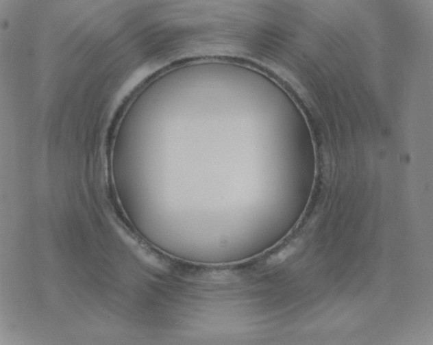 X0000076220982200610122045