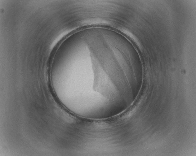 X0000076220983200610122045