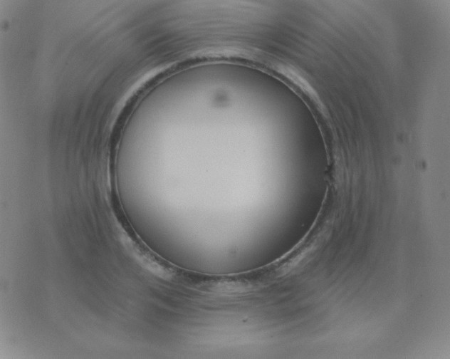 X0000076220984200610122045