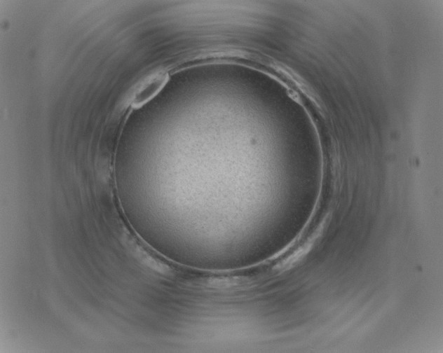 X0000076220985200610122045