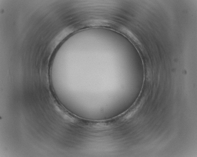 X0000076220986200610122045