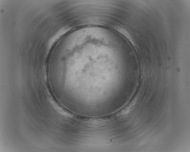 X0000076220987200610122045