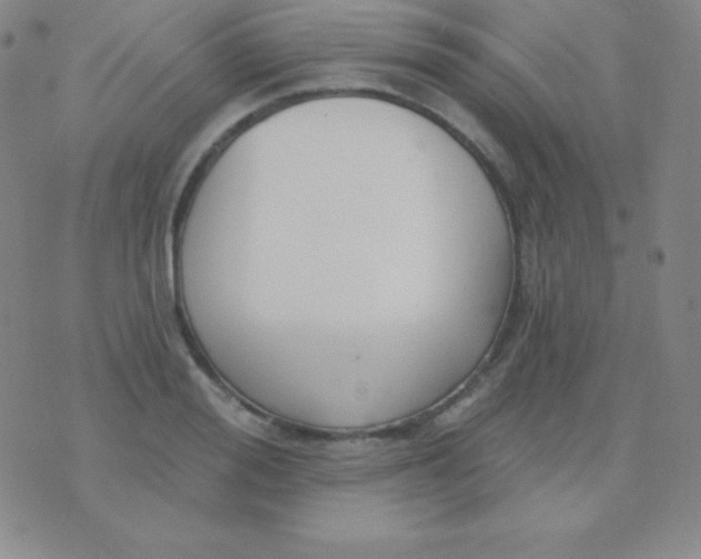 X0000076220988200610122045