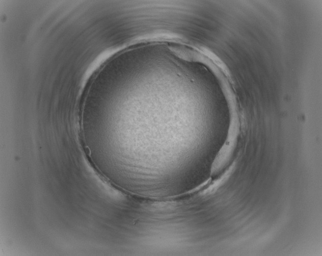 X0000076220989200610122045