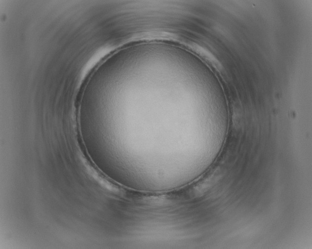 X0000076220990200610122045