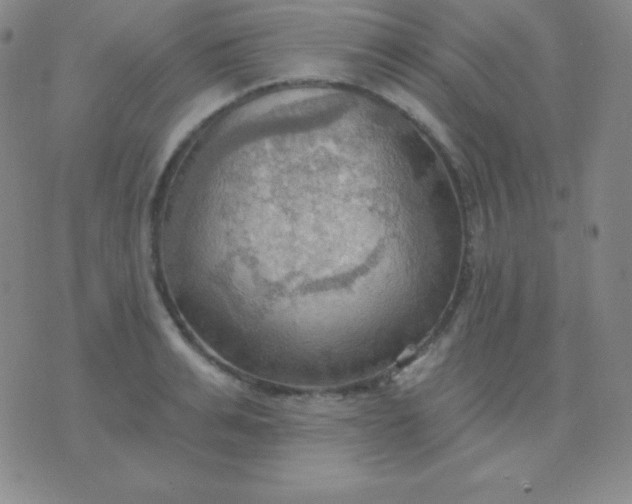 X0000076220991200610122045