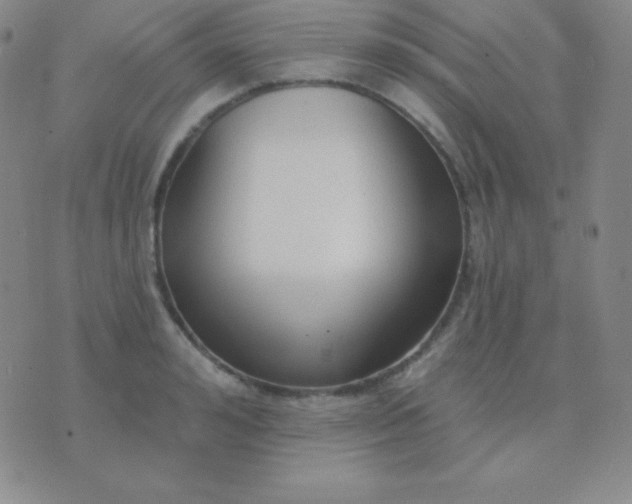 X0000076220992200610122045