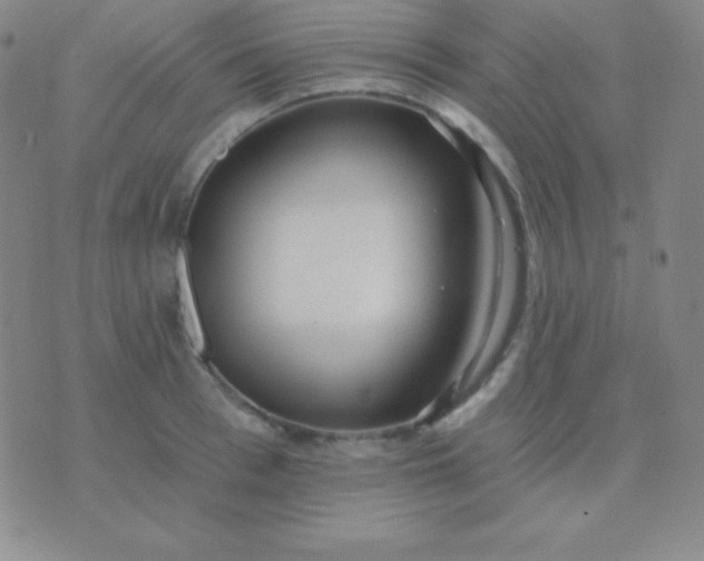 X0000076220993200610122045