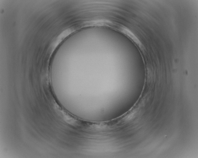 X0000076220994200610122045