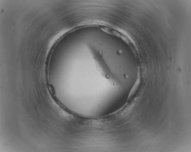 X0000076220995200610122045