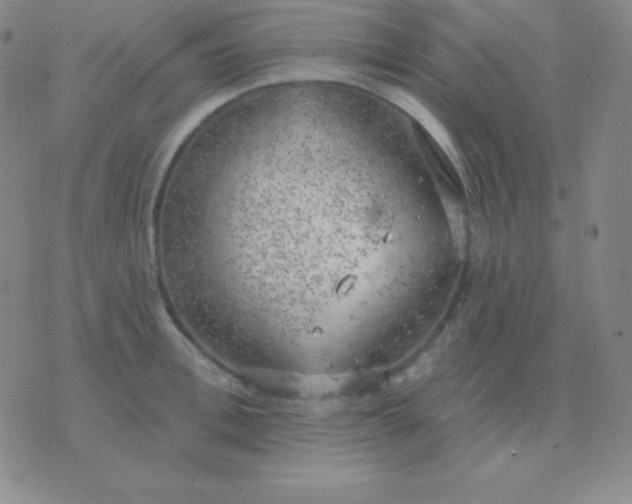 X0000076220996200610122045