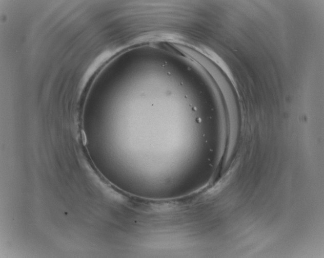 X0000076220997200610122045