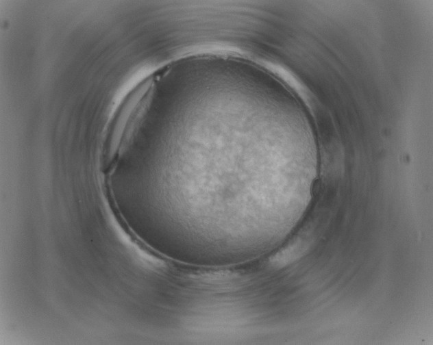 X0000076220999200610122045