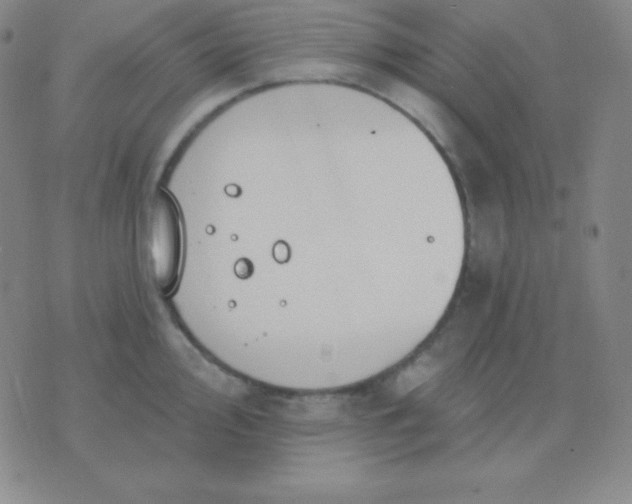 X0000076221000200610122045