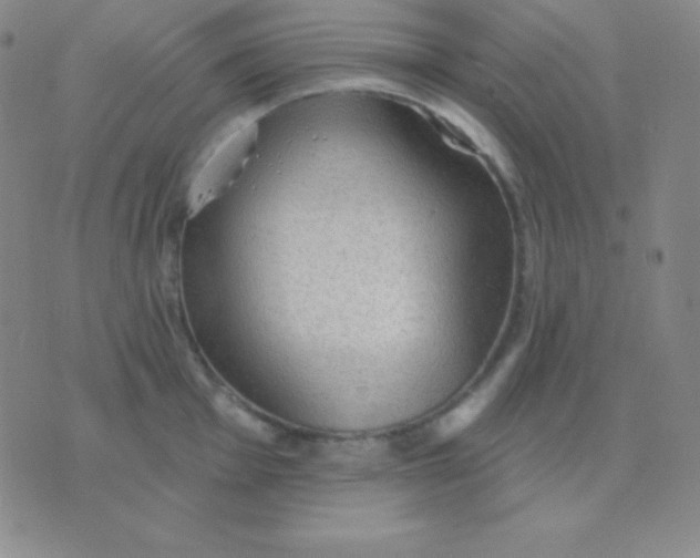 X0000076221001200610122045