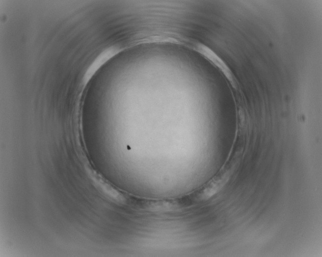 X0000076221002200610122045