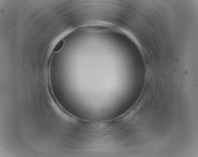 X0000076221003200610122045