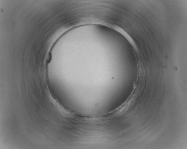 X0000076221004200610122045