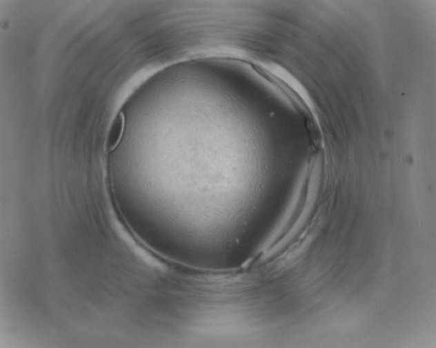 X0000076221005200610122045