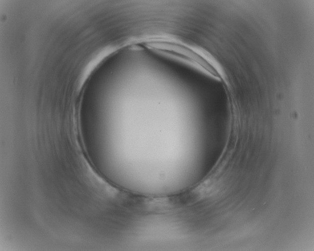 X0000076221006200610122045