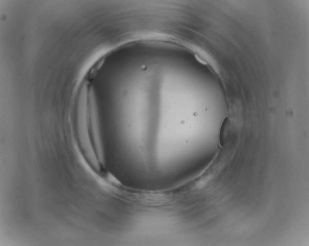 X0000076221007200610122045