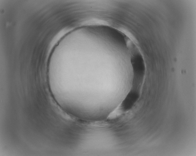 X0000076221008200610122045