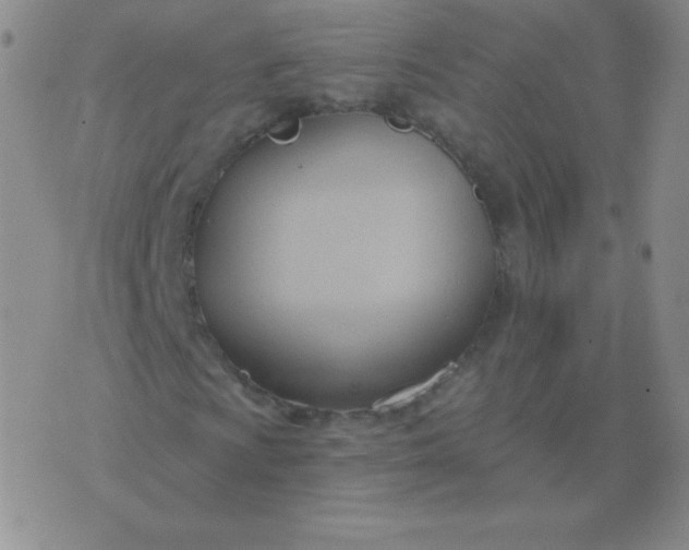 X0000076221009200610122044