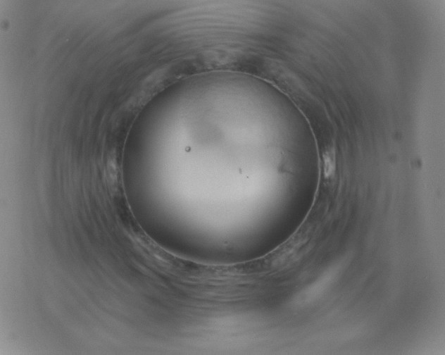 X0000076221011200610122044