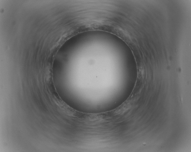 X0000076221012200610122044