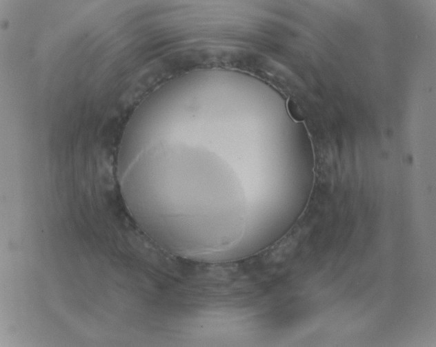 X0000076221013200610122044