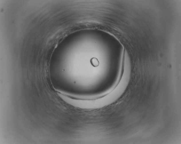 X0000076221014200610122044