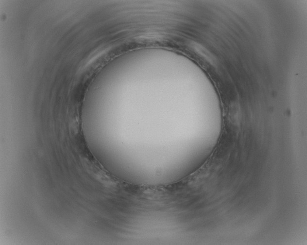 X0000076221015200610122044