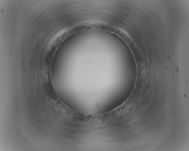 X0000076221016200610122044