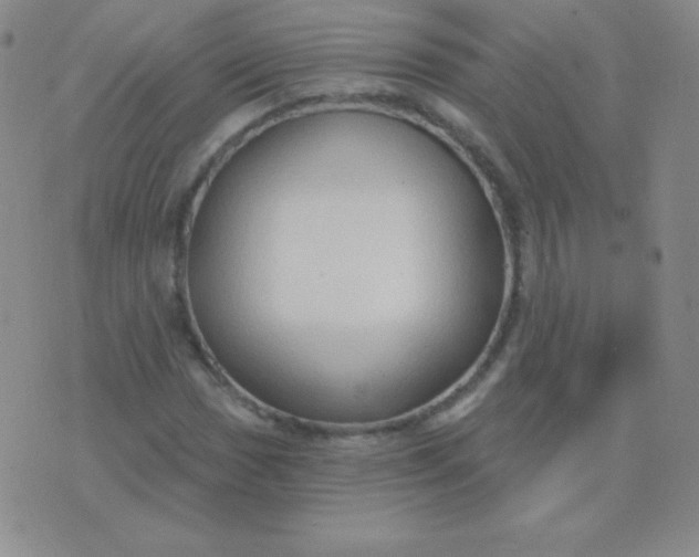 X0000076221017200610122044