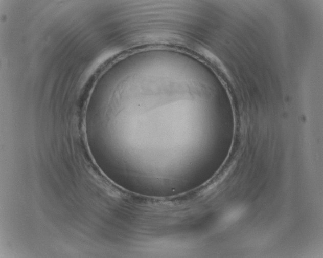 X0000076221019200610122044