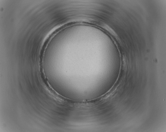 X0000076221020200610122044