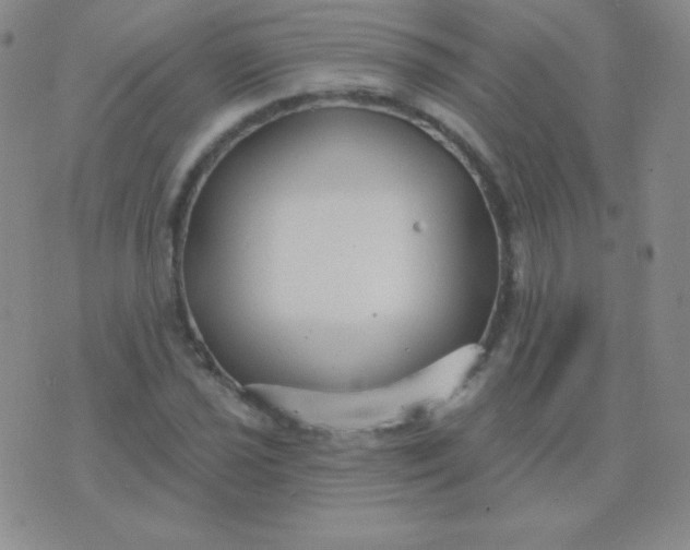 X0000076221021200610122044