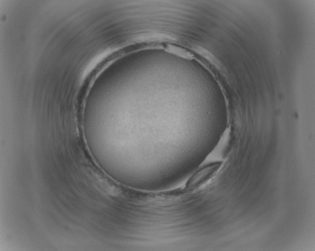 X0000076221022200610122044