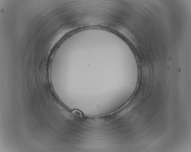 X0000076221023200610122044