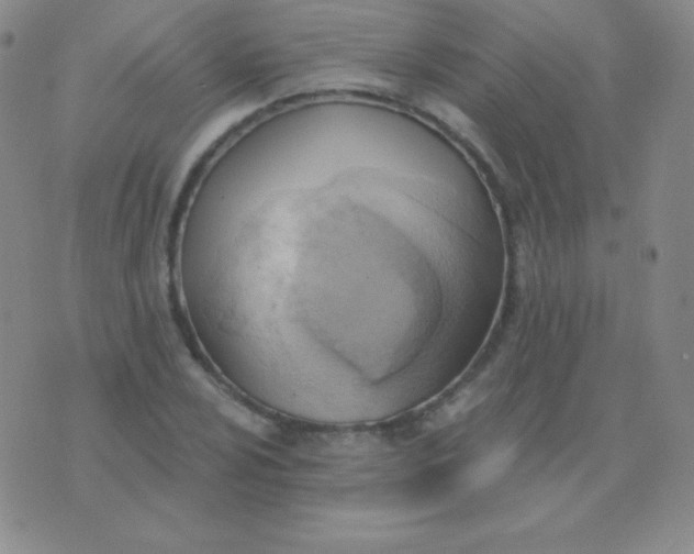 X0000076221024200610122044