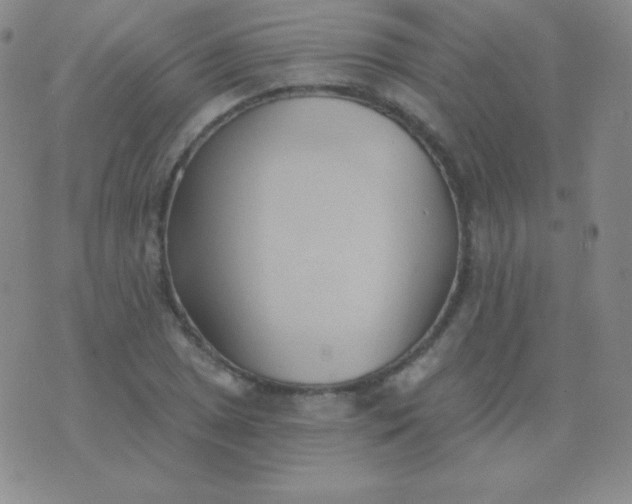 X0000076221025200610122044