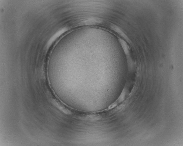 X0000076221026200610122045