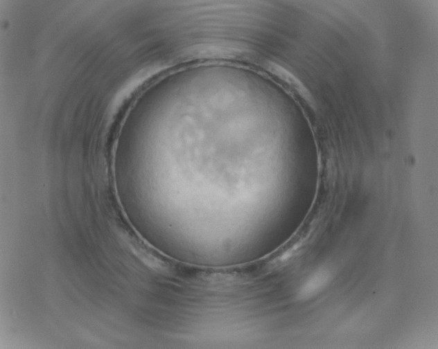 X0000076221027200610122045