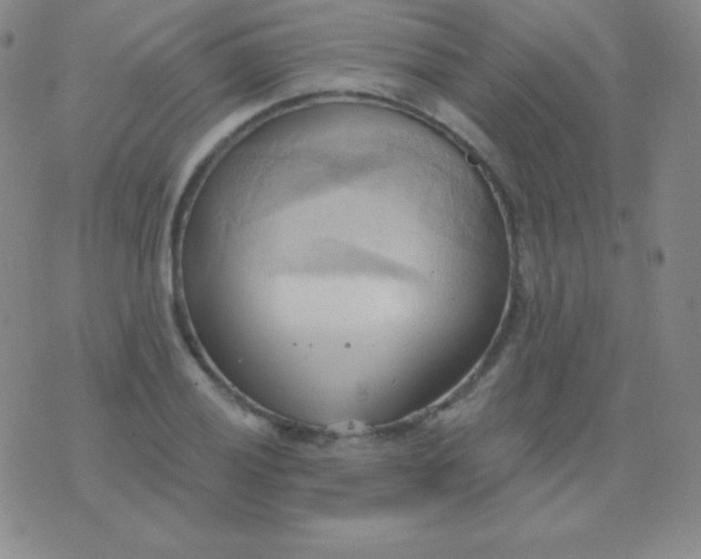 X0000076221028200610122045